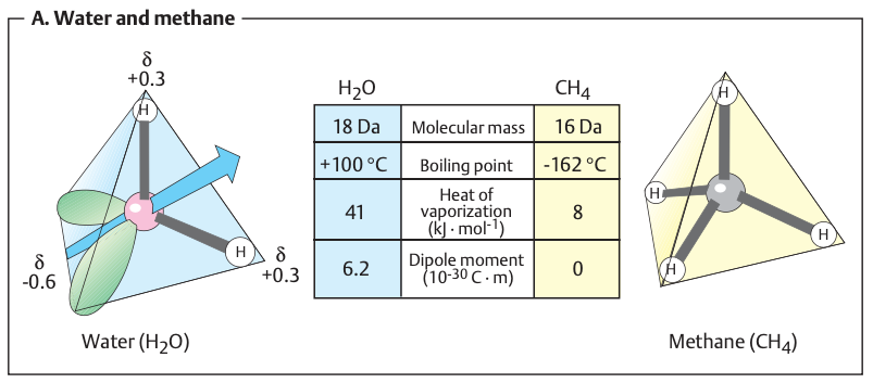 Water as a Solvent. Water and Methane.